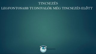 Tincsezés és hajfeldolgozás mester tanfolyam fontos tudnivalók még tincsezés előtt lecke