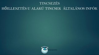 Tincsezés és hajfeldolgozás mester tanfolyam U alak általános infók lecke