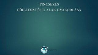 Tincsezés és hajfeldolgozás mester tanfolyam U alak gyakorlati lecke