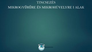 Tincsezés és hajfeldolgozás mester tanfolyam gyakorlati lecke Halak Mikrogyűrű és hüvely, mikronhüvely