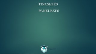 Tincsezés és hajfeldolgozás mester tanfolyam panelezés lecke