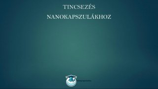 Tincsezés és hajfeldolgozás mester tanfolyam nanokapszulás hőillesztés tincsek gyakorlásához lecke