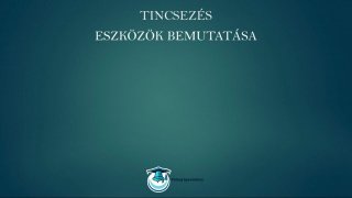 Tincsezés és hajfeldolgozás mester tanfolyam eszközök bemutatása lecke