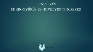 Tincsezés és hajfeldolgozás mester tanfolyam mikrogyűrűs infók lecke