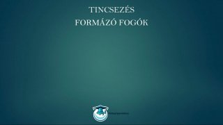 Tincsezés és hajfeldolgozás mester tanfolyam fogók bemutatása lecke