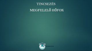 Tincsezés és hajfeldolgozás mester tanfolyam megfelelő hőfok lecke