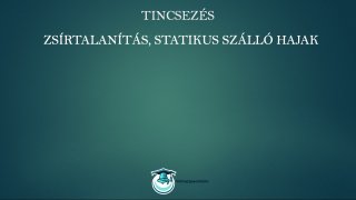 Tincsezés és hajfeldolgozás mester tanfolyam zsírtalanítás statikus szálló hajak lecke