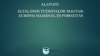 Általános tudnivalók európai hajaknál és porozitás hajhosszabbítás alap tanfolyam póthaj specialista online tanfolyamok