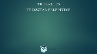 Tresszelés és hajfeldolgozás mester tanfolyam dresszpad bemutatása lecke