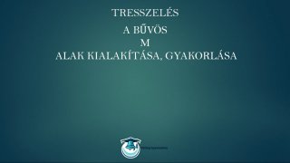 Tresszelés és hajfeldolgozás mester tanfolyam M alak gyakorlása lecke