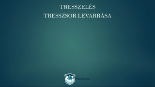 Tresszelés és hajfeldolgozás mester tanfolyam tresszsor levarrása lecke