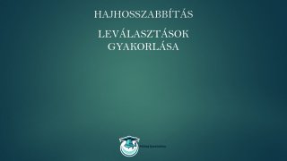 Hajhosszabbítás tőillesztéssel online tanfolyam oktatás leválasztások gyakorlása