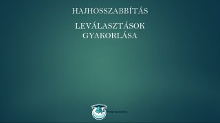 Nanogyűrűs hajhosszabbítás online tanfolyam leválasztások gyakorlása lecke